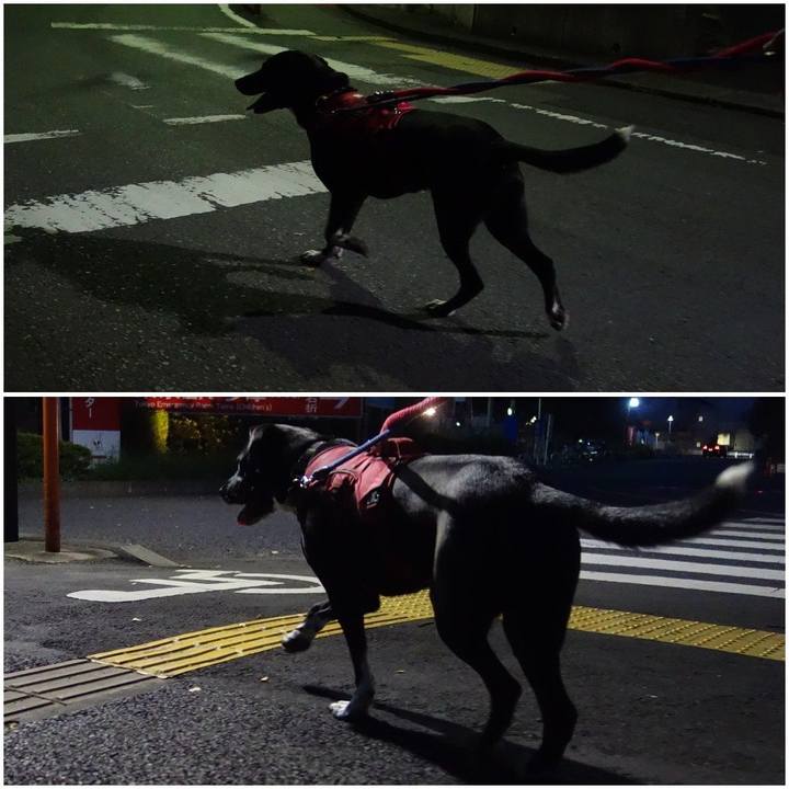 339da239 5c2d 423a a6b7 489db3a9d2e0 1600685600710