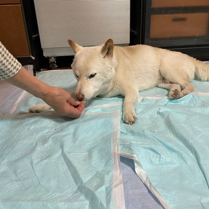 339dcc5b b997 4b59 ab5b 7404ff3dce92 1639311192024