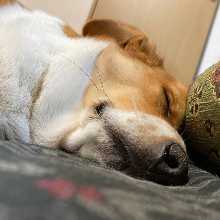 339de389 26a6 4e97 b8a9 ce5d26575848 1638984310472