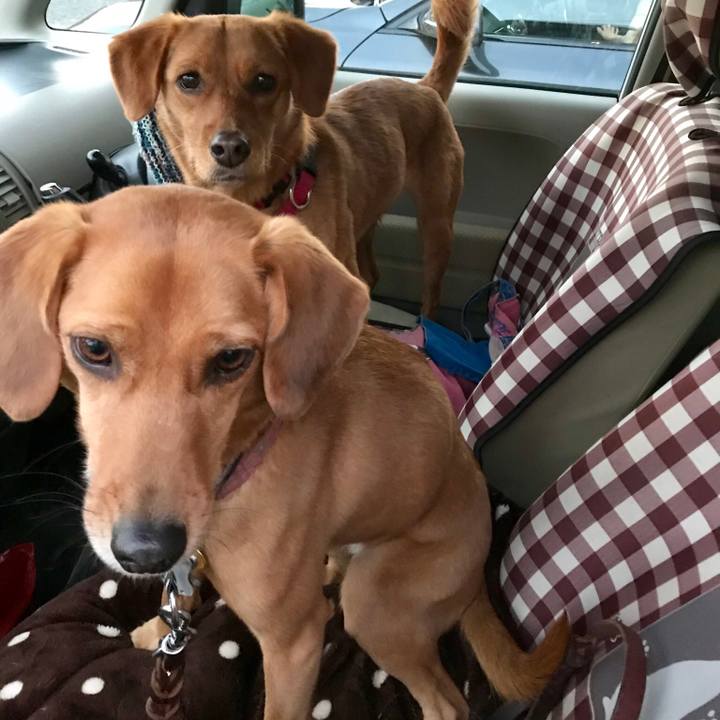 339e0166 6cd0 4097 b3ef 9a1201fb7c33 1518426863567