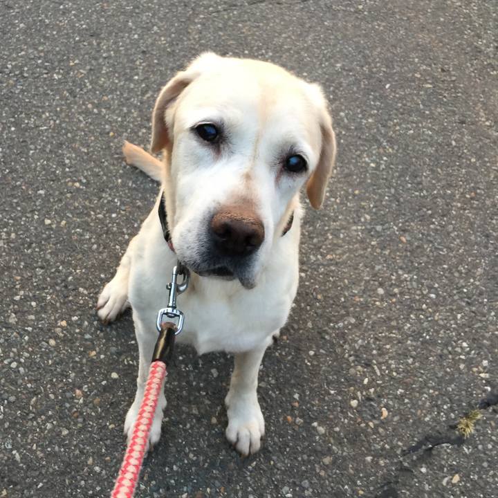 339e04ff 4004 4751 bd21 08d2df8c7e13 1531249131870