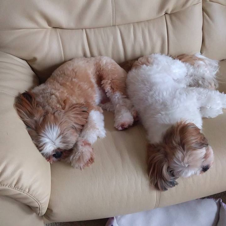 339e1275 b6cf 4fc4 8bf7 622672f13800 1599718297392