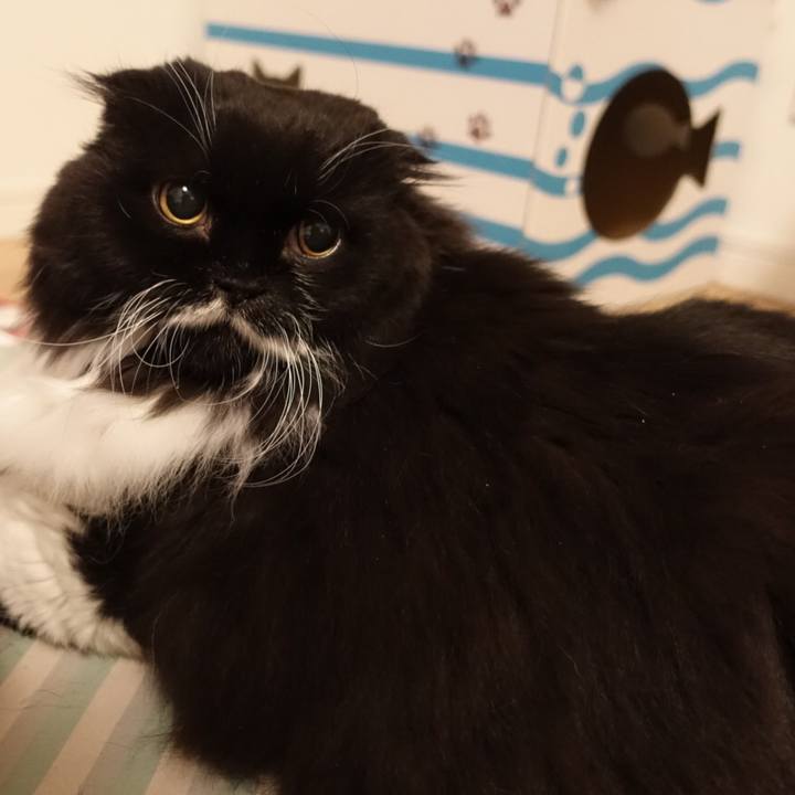 339e1fb0 5215 405f 8275 b5af654e7d5d 1513074091526