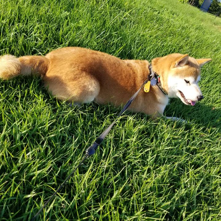 339e22c7 afbd 4ce4 b9d9 e1bfd96481a3 1597739221905