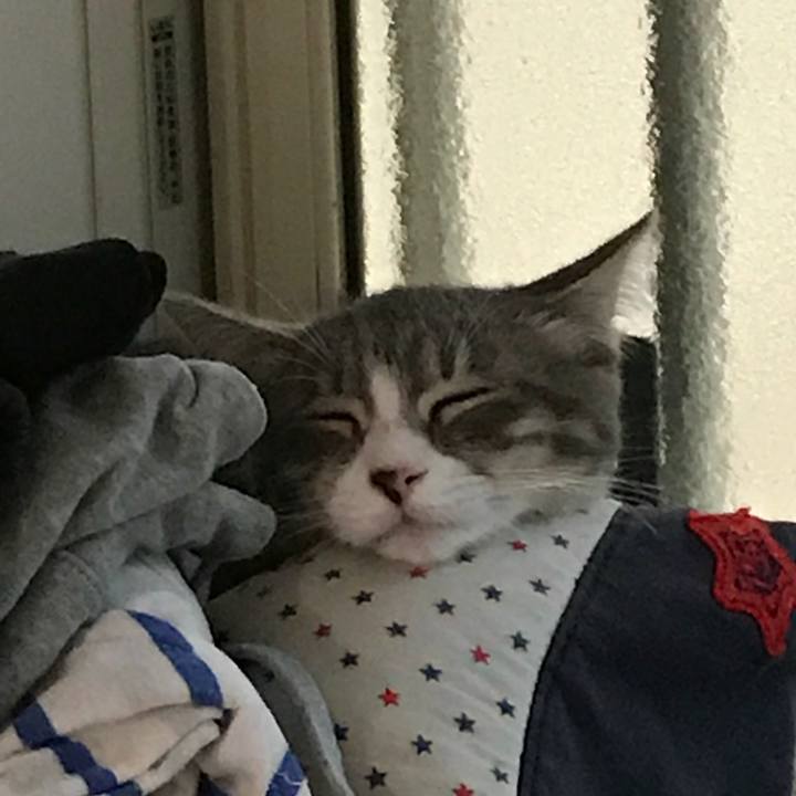 339e247b 9518 4047 80ef d3aaa43e35b7 1536625479868