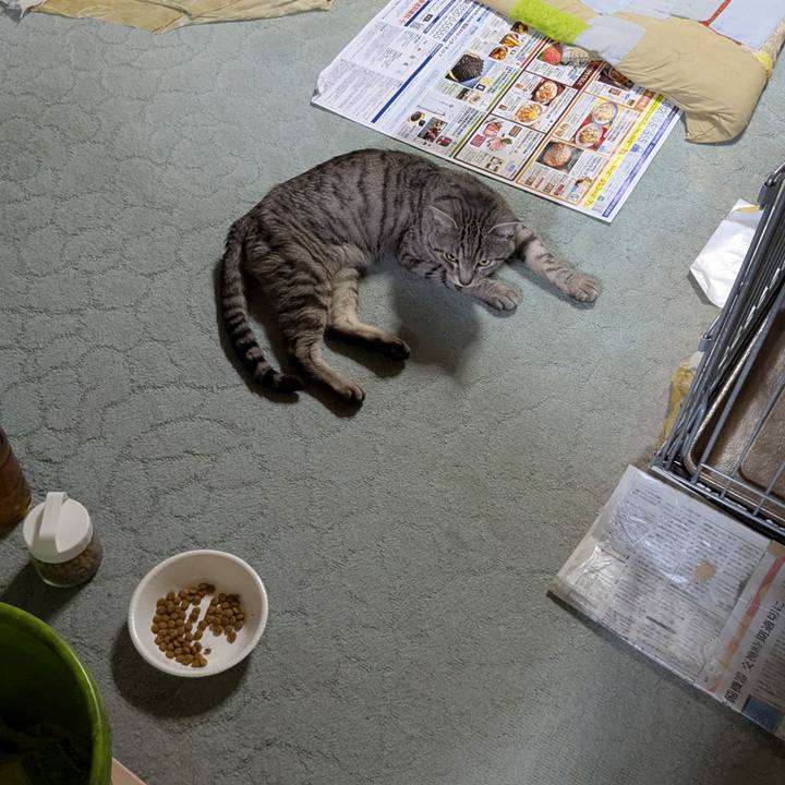 339e3554 2ce0 450d b7d0 62b3dc1f0646 1742042540634