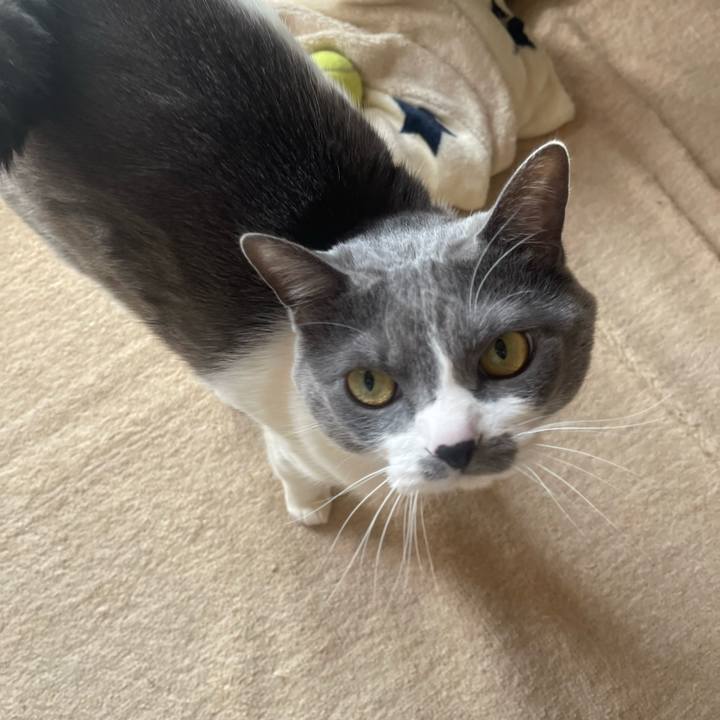 339e427c 287d 4639 8688 bad5b0360d79 1742691272764