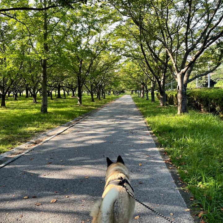 339e9484 915e 42c7 b961 eb0687259a2a 1725706972043