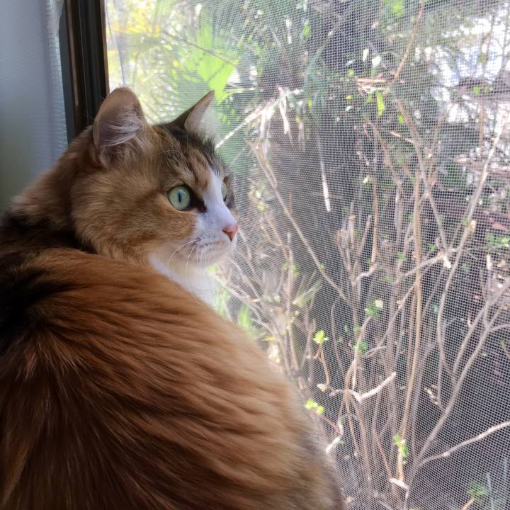 339eb0c1 8b90 4823 8f40 05c2541a1e7f 1553829891208