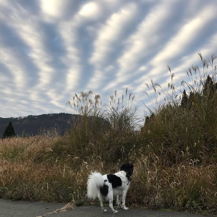 339ed3f8 f63b 4989 a7d1 d0e4998f8086 1511570220278