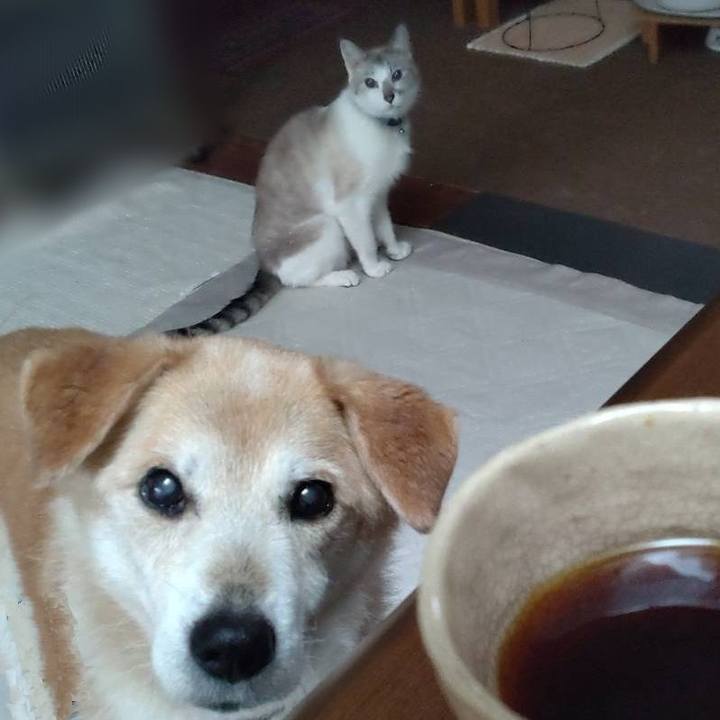 339ed72f 0a3d 4bf8 9ec1 43063afea462 1653084757534