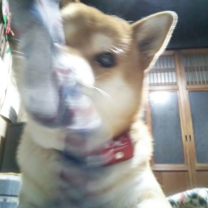 339ed8cf 8ff5 47ce 81b4 c8ef15c3a296 1515070287312