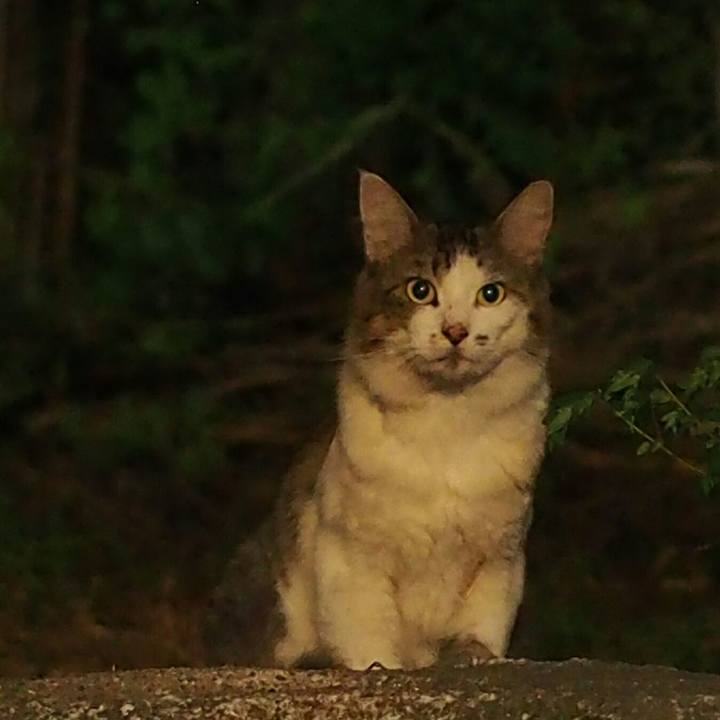 339ee133 cbd8 4dbb a09b 1c7834cfacef 1535377300891