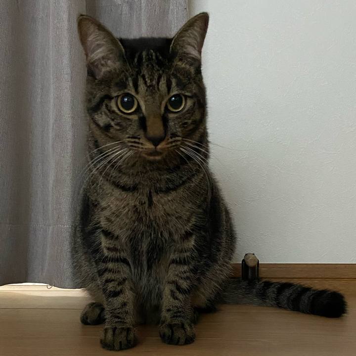 339efe5a c611 457c b8af 951bde4c5181 1628333268812