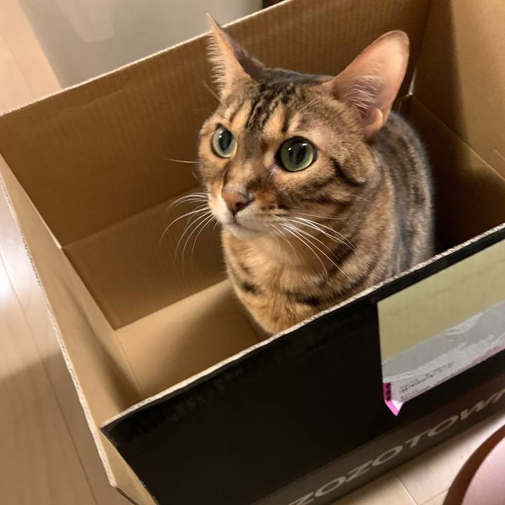 339f3506 17b0 4104 a5fd 6734f5f70b92 1574636930346