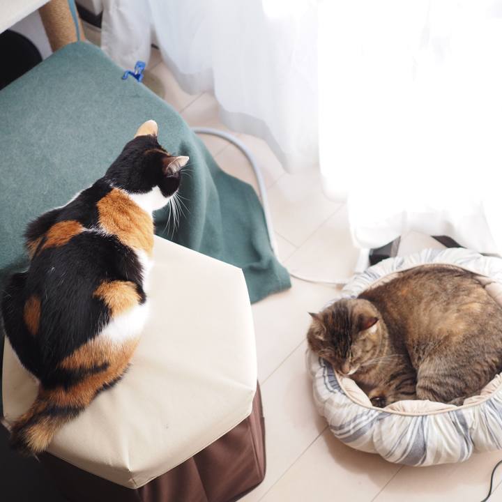 339f67fe ee58 4d2c a91e 7c449d36be05 1512946615078