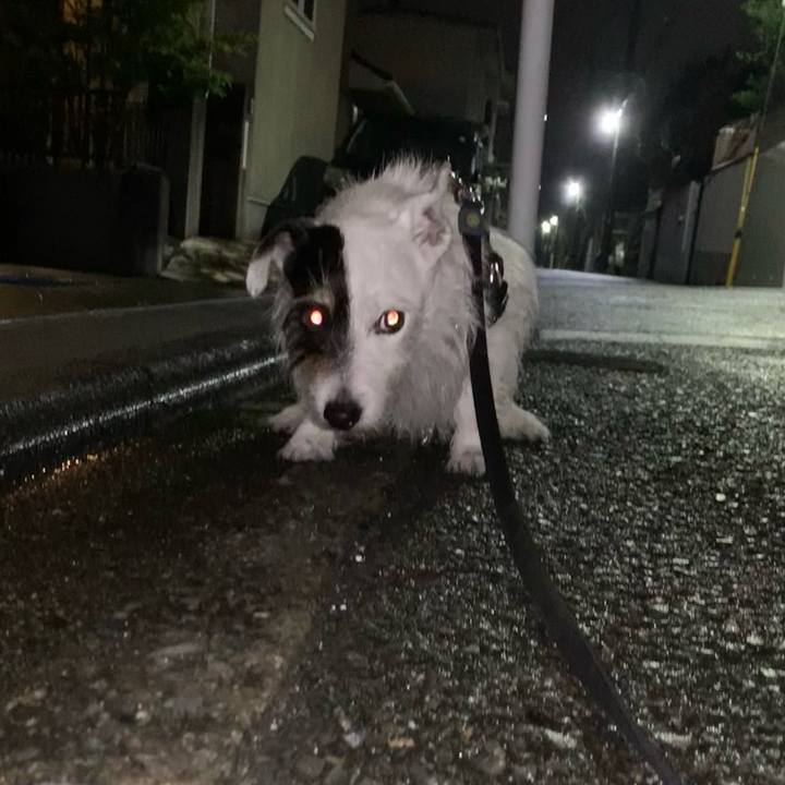 339f6932 df22 4bc7 b540 682663b66061 1751377120392