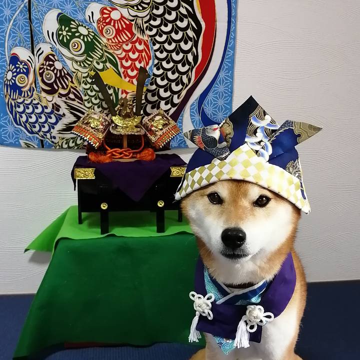 339f6bbb cfe1 4fd8 b2db 7ee73244868e 1682829591521