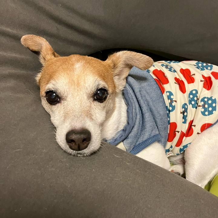 339f8b6f 0676 4ae6 86b8 aa0d8435ff42 1774870570199