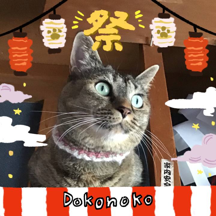 339fa535 fa54 41e3 b2bb 9eb9219a66b3 1723361945841