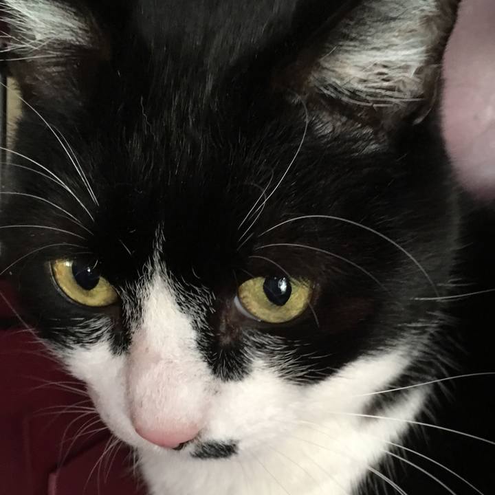 339fcc83 24a7 4b41 a202 11cfd40e48bf 1514595749351