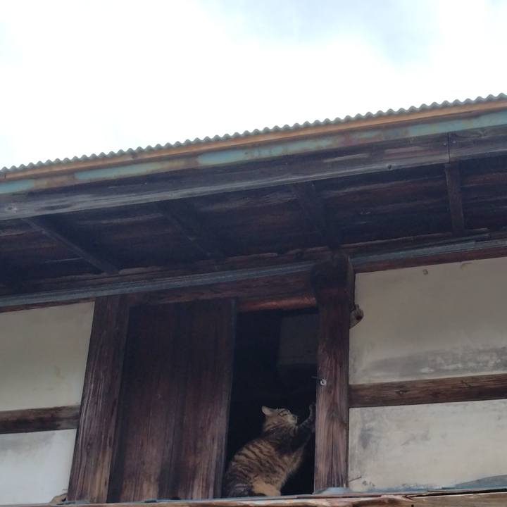 33a02199 a5d8 4671 8360 c9a664ff55e6 1718413189793