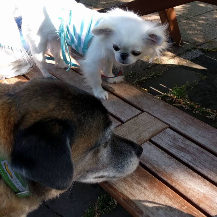 33a02d69 066f 467c 8c48 6580aaa0c2fb 1524702501562