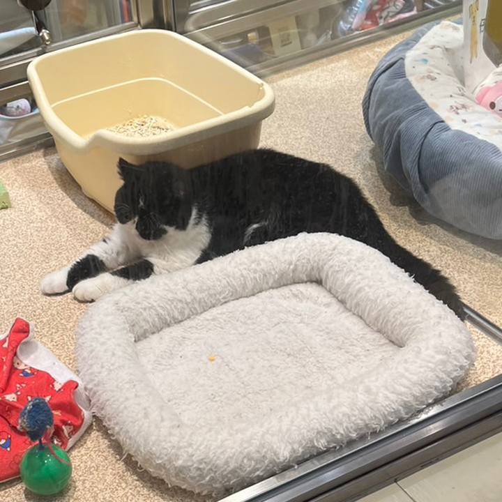 33a03d28 d79f 48b6 8a48 eabc4db38819 1691920223697