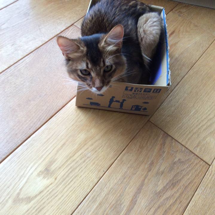 33a03dcd c790 4328 affd 227d1f77f50e 1564188828328