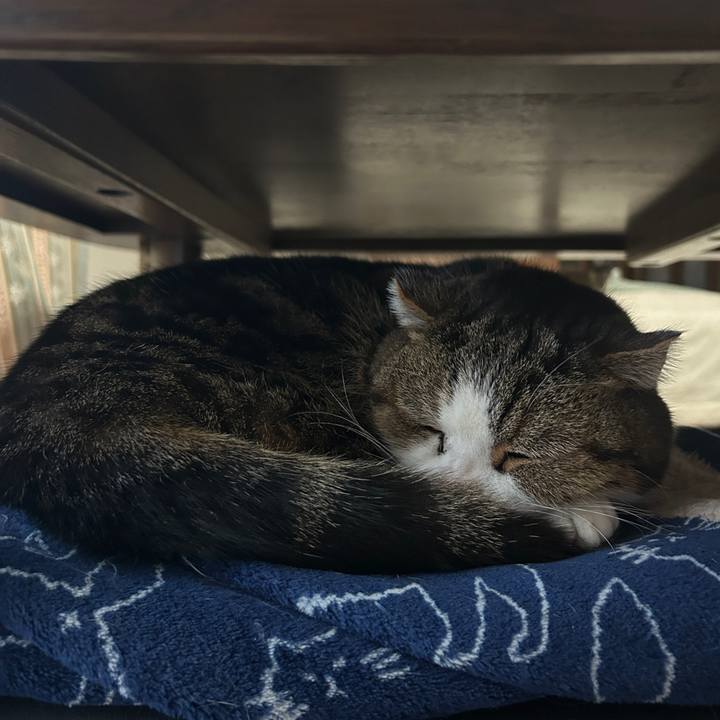 33a0cad7 b848 4de1 8733 82b38ed5c4ee 1771452283765