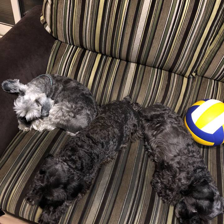 33a0d713 0ffc 4f5e 8751 f2af060dfc9e 1571319442741