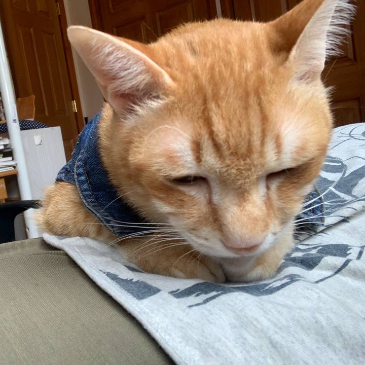 33a10dd6 34f2 4e0f bc83 0aeee3dd92de 1625902938830