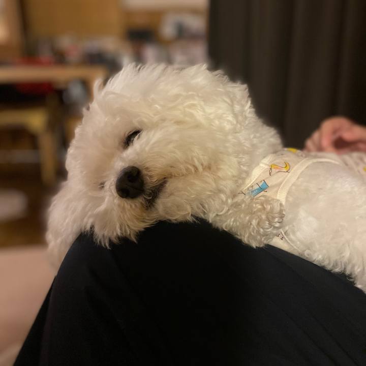 33a11d4a c1eb 43ec 966b 40232d88407f 1614506868984