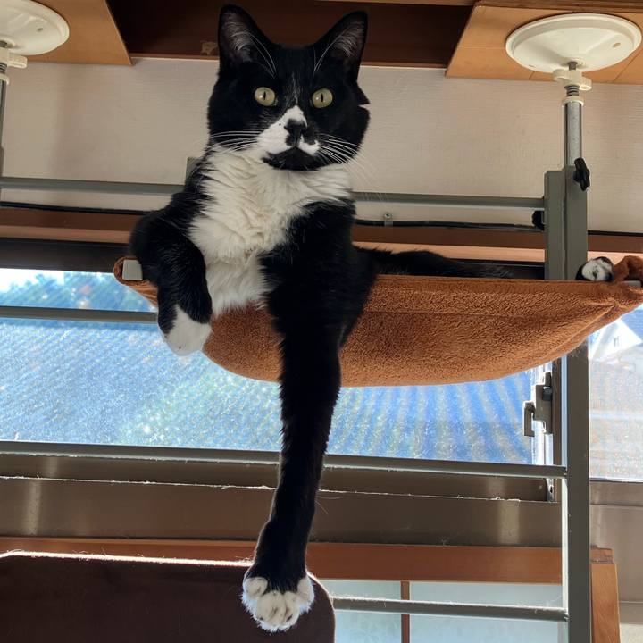 33a13456 32d8 4ce5 8187 1c231bc09fd5 1767756602544