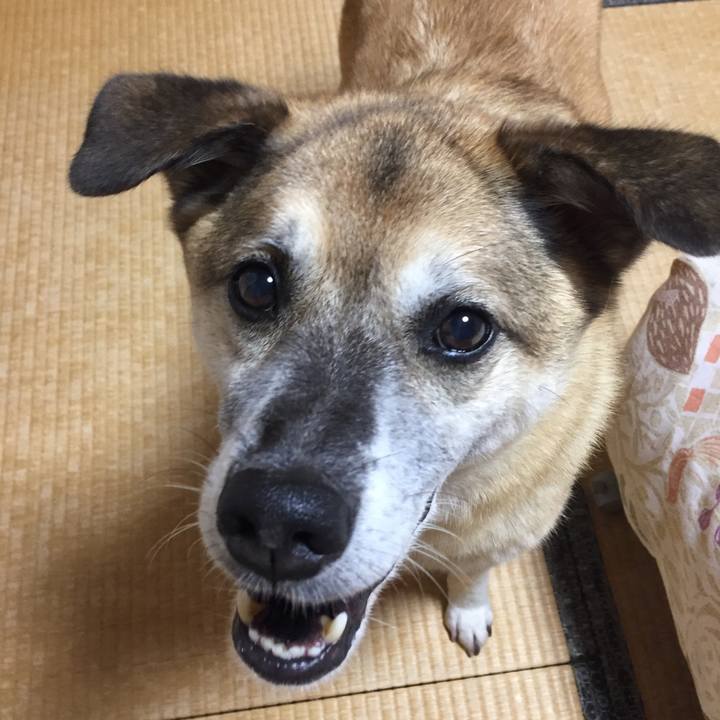 33a14372 d3c5 40f5 8b92 01576bd84458 1598703578656