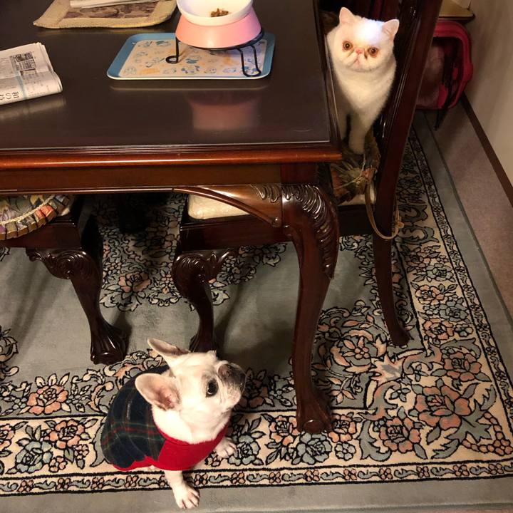 33a17026 46a4 4b99 bbbd 3749d1978144 1673086015147