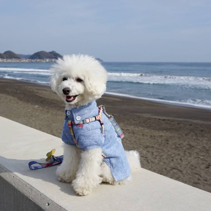 33a189a2 74c3 472b aec8 cda6527165d1 1551081305332