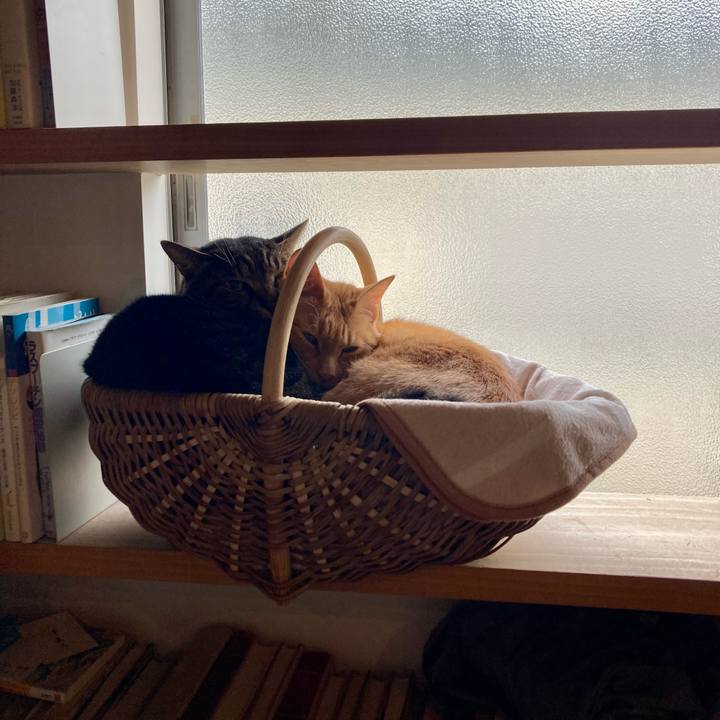 33a18b2e 3ee5 4494 b597 d7716cd402bf 1705714773619