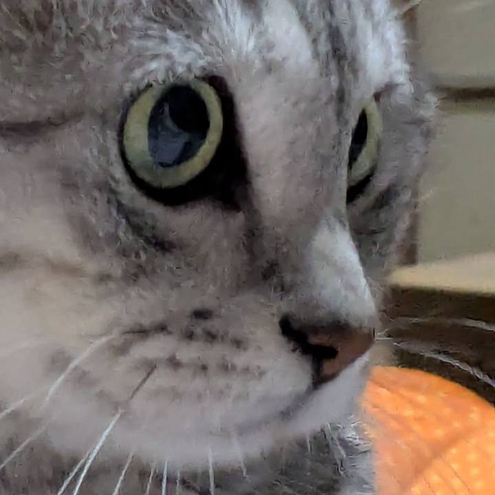 33a190f1 fc3e 44d8 8a38 e8336ac1c380 1772207510130