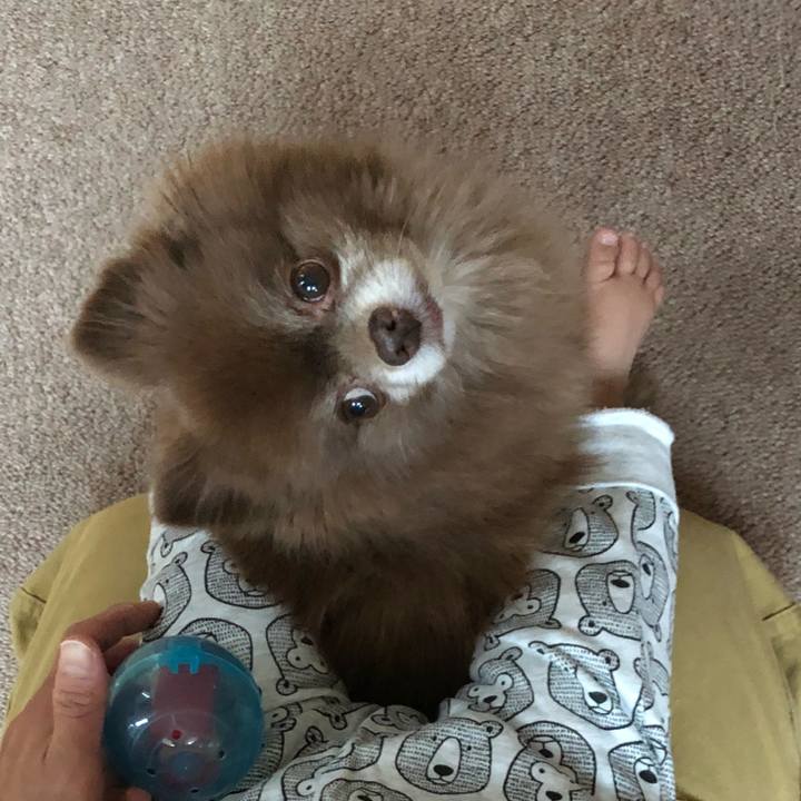 33a1c361 c696 4227 9196 11cda7ec0ec0 1575166797988