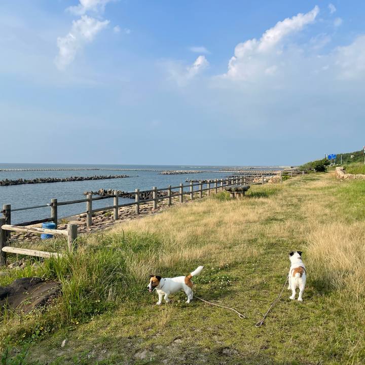 33a225fc 7f6d 417a 94ef 5bd1cd8383ae 1688979759287