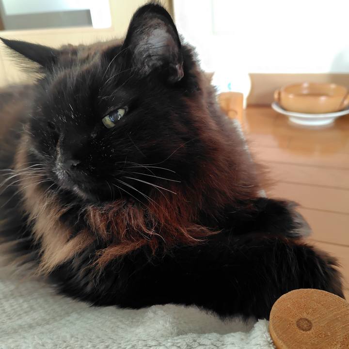 33a25563 bc3f 43e2 bce2 b058f58626ad 1767914220035