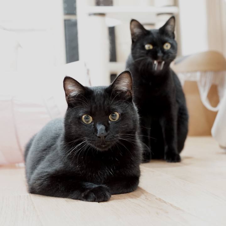 33a27783 e390 483f be25 f142af424f04 1528846207137