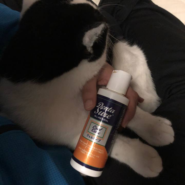 33a286d0 ebab 48ac 9adc 78cacec7e680 1608977258241