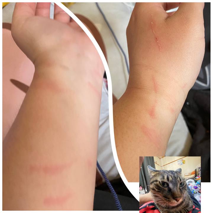 33a28e99 21f2 4b27 9c04 ef9f3f91c1fd 1617672713266