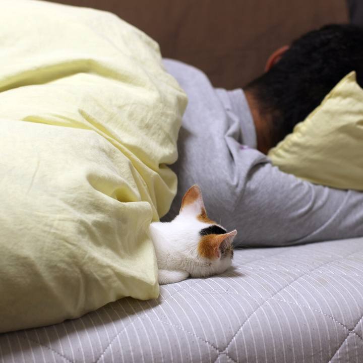 33a29840 3885 450b a848 1527a686fb96 1544602414438