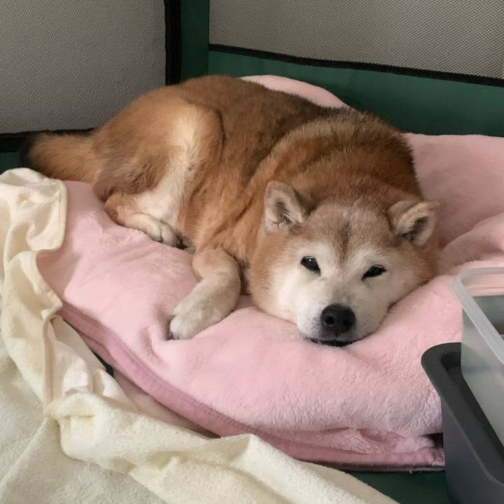 33a2a3d6 ef7d 4f46 beeb 728620640d2c 1684885798104