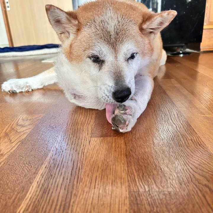 33a2f06c 0dfa 4fc4 a4cd f5de0e9a94e3 1757550598889