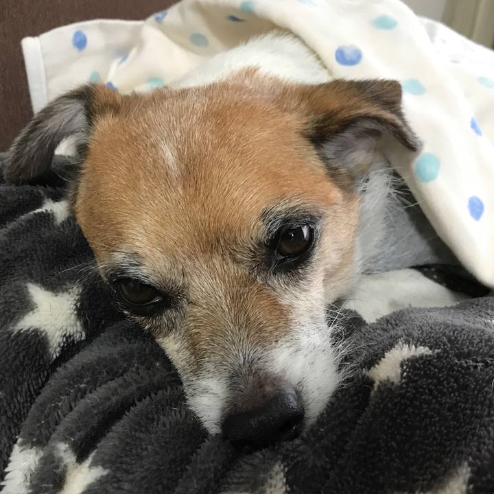 33a31086 1c29 4c24 93c3 877b3e25b20c 1571445918142