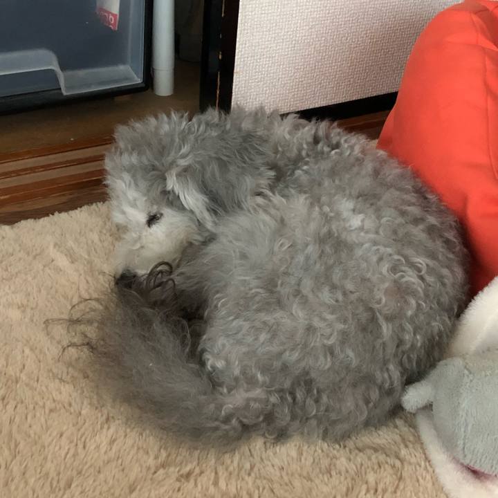 33a32f57 cb63 44df beca e36ecd9e59c8 1546520463255